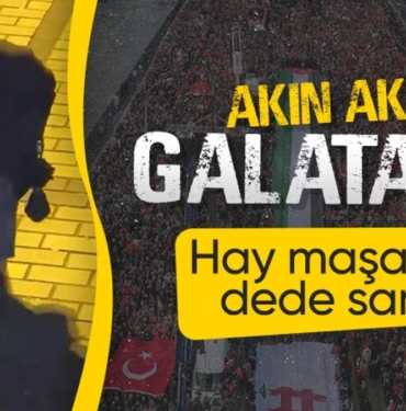 65926520d64de887.jpg