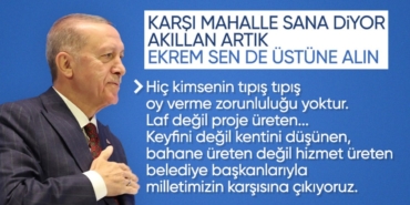659a8bc705864636.jpg