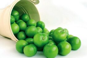 yesil-erik