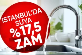 673dd06e9982a498