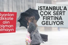 673ee72e00523540