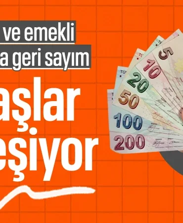 6770e6013aaf2903