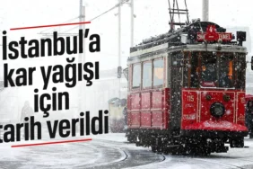 677b6fb8e0661777