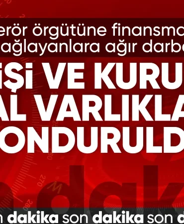 677cbf3aac220747