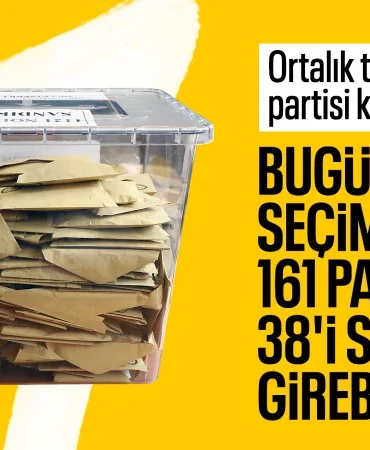 677f77fa159b5940