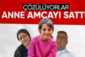 678564c6377ba911