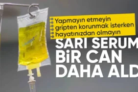 679cba1db9739239