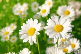 shutterstock_534123559-scaled-1024x683
