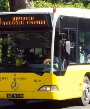 67fd22fe61676569__w1200xh659