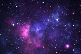 6835b6261b5e4476.jpg