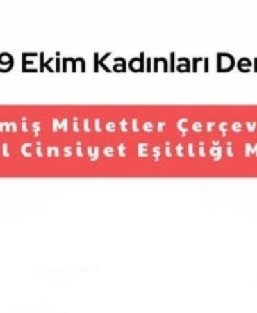 kapak_152730.jpg