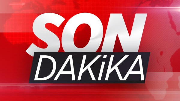 sonex2.jpg