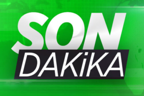 sporex2.jpg