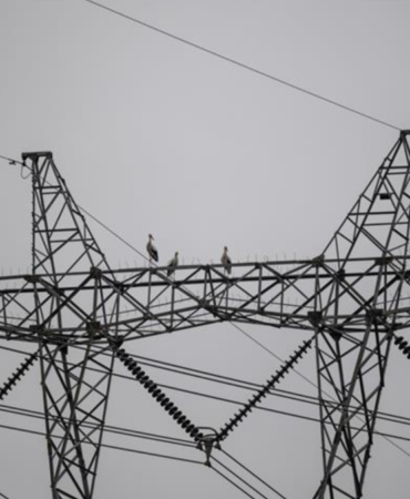 684d3ec57e24a721.jpg