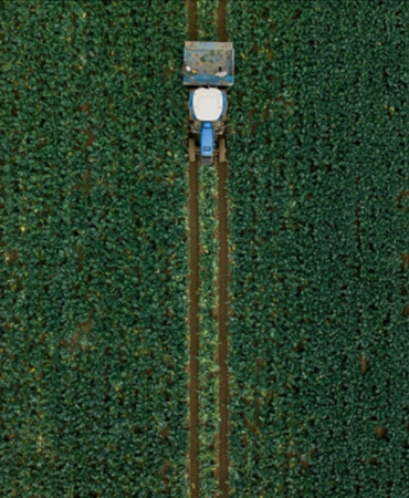 683e9dbfeea60634.jpg